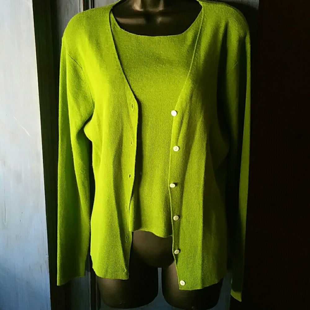 The Limited Sweater Set